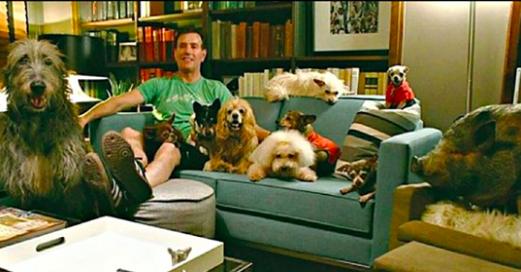 Îi murise câinele iubit, dar bărbatul a luat o decizie care i-a impresionat pe toți iubitorii de animale: „Mai rar vezi așa ceva!” (FOTO) 628535