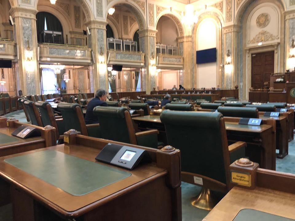 Alina Gorghiu: „Moment penibil! Președintele Senatului numit de PSD vorbește azi unei săli goale” 629906