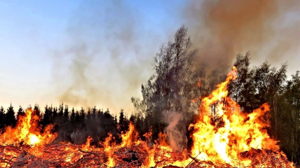 Tornadă de foc în Australia. Pompierii se luptă cu peste 140 de incendii de vegetaţie