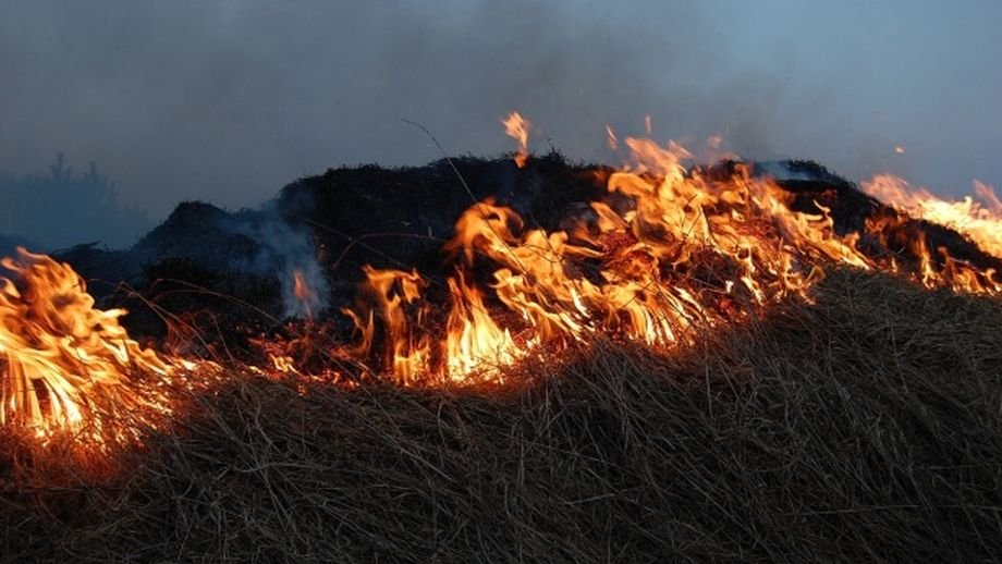 Un bărbat din Suceava a fost găsit carbonizat în zona unui incendiu de vegetaţie uscată