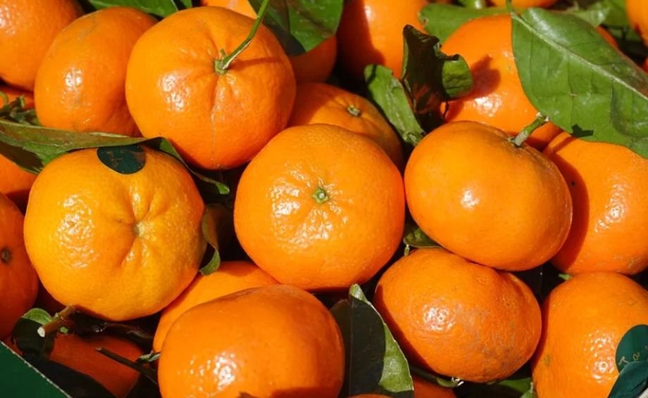 Mănânci clementine în această perioadă a anului? Trebuie neapărat să ştii asta