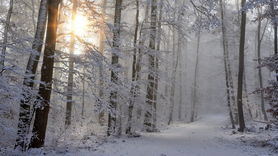 VREMEA. Meteorologii anunță ninsori în țară și temperaturi negative în ultimele zile din an 