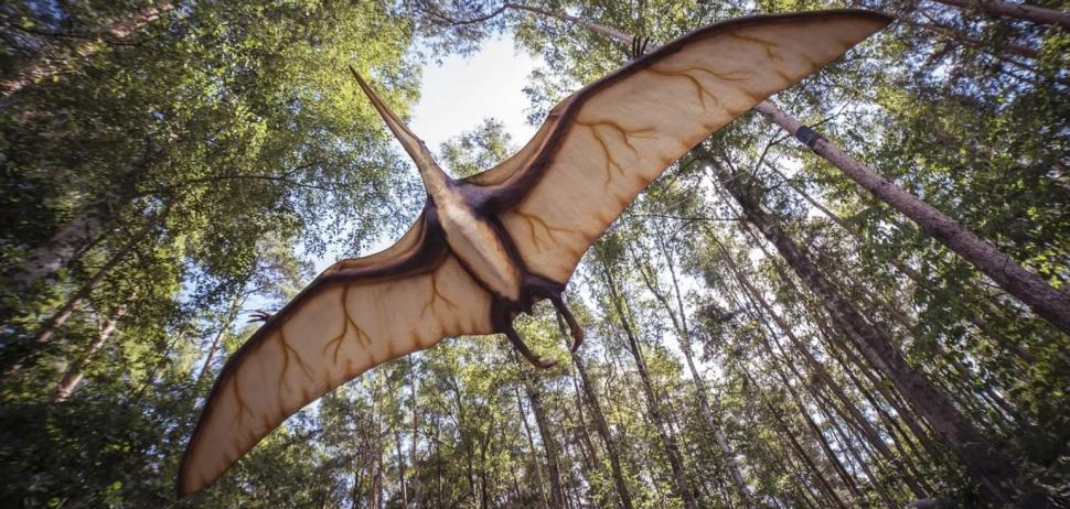 „Dragonul zburător” din Transilvania - descoperirea uriaşă făcută de cercetători români şi americani