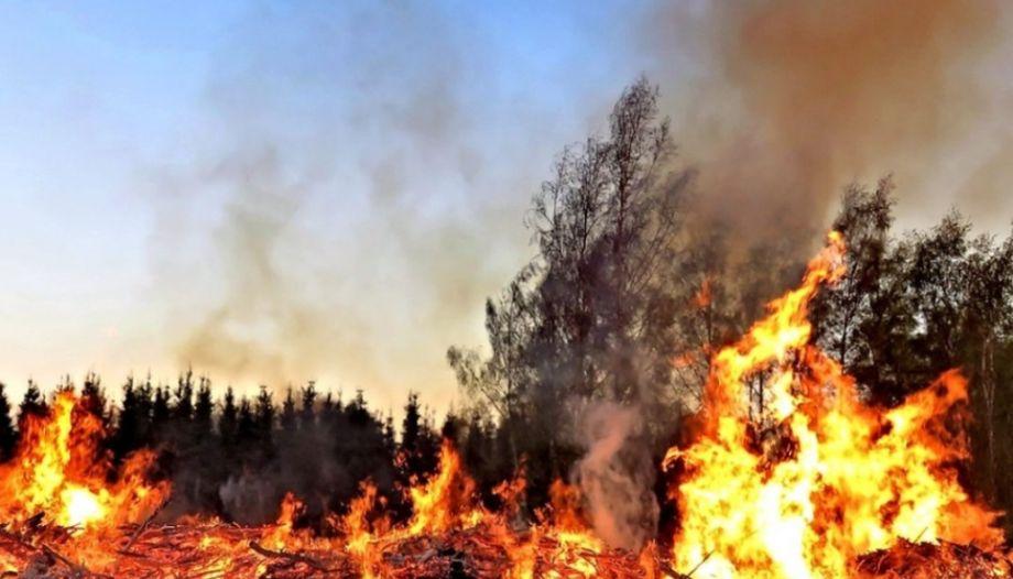Australia arde în continuare, făcând aproape imposibilă intervenția umană. Imagini îngrozitoare - VIDEO