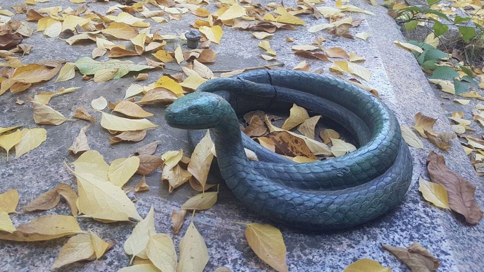 Constantin, un bărbat bogat din Caracal, s-a sinucis de durere după ce a aflat un secret cumplit. El a fost singurul vinovat! 621899