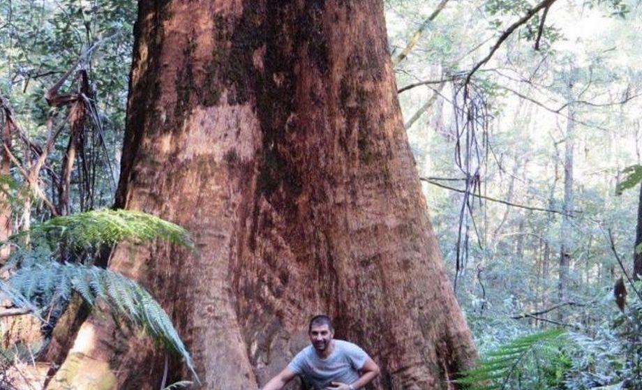 Românul care s-a întors din „iadul” Australiei. „E doar primul continent unde viaţa, aşa cum o ştiam, va lua sfârşit” 636555
