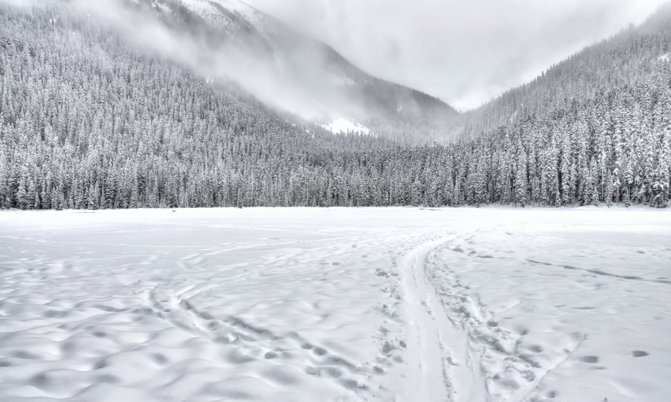 Imagini de poveste în inima munților. Locul din România unde totul este îmbrăcat într-un strat gros de zăpadă