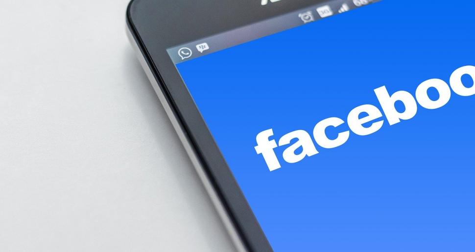 ALDE nu poate da Facebook în judecată. Tribunalul Sibiu a respins cererea