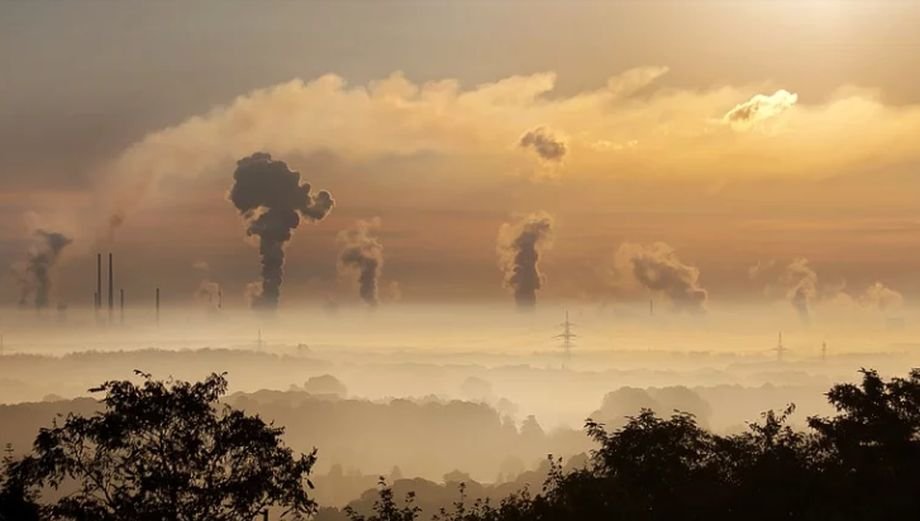 Prof.dr. Ruxandra Ulmeanu: „Particulele de materie poluantă sunt carcinogene pentru oameni“  