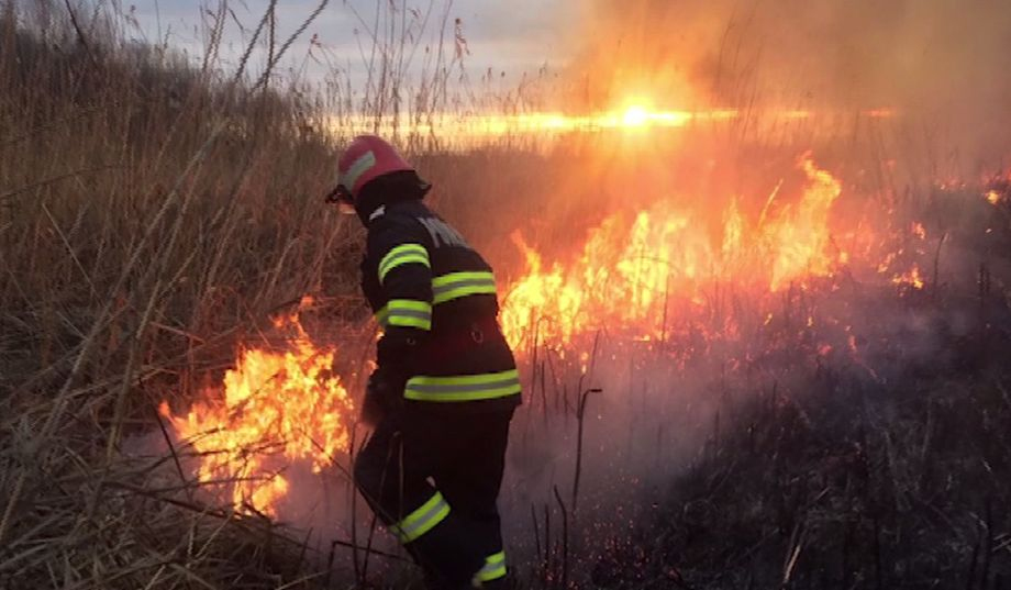 Incendiu puternic în Delta Dunării. Patru hectare de vegetaţie şi stuf sunt în flăcări