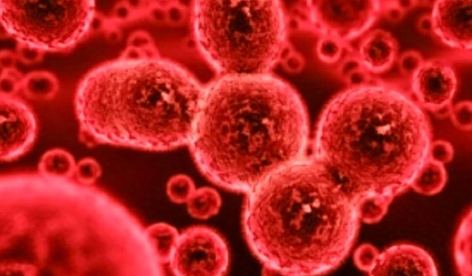 Coronavirusul din China face ravagii. Japonia îşi va evacua cetăţenii din oraşul chinez Wuhan