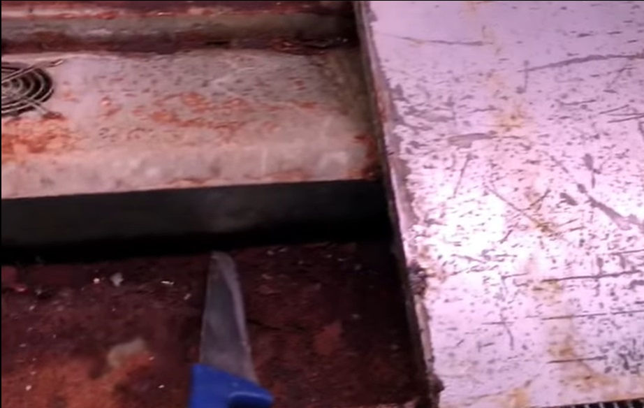 Dezastru în hala de carne din Alexandria. Gândaci, mizerie și rugină în galantare