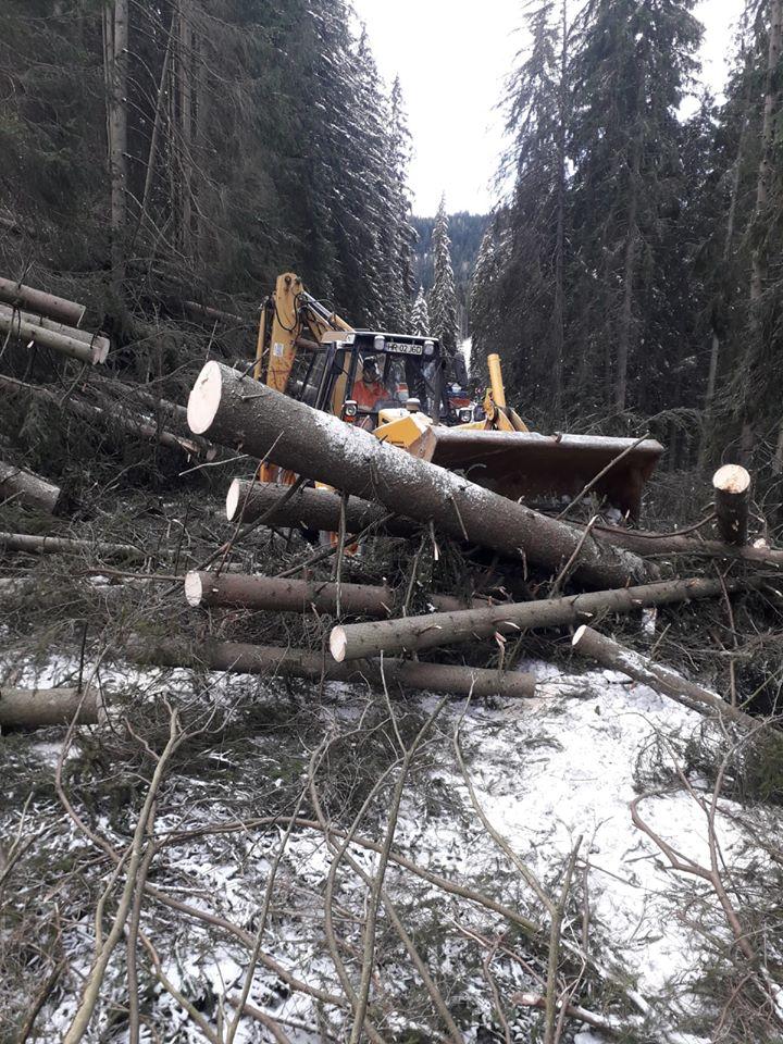 Sute de copaci aruncați pe șosea, în zona Lacului Roșu din Harghita - Galerie FOTO 642805