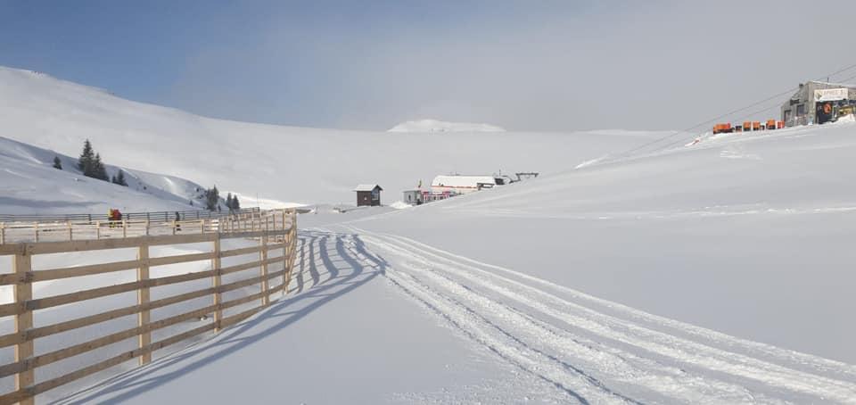 În Capitală sunt temperaturi de primăvară, la Sinaia - strat gros de zăpadă - GALERIE FOTO 644215
