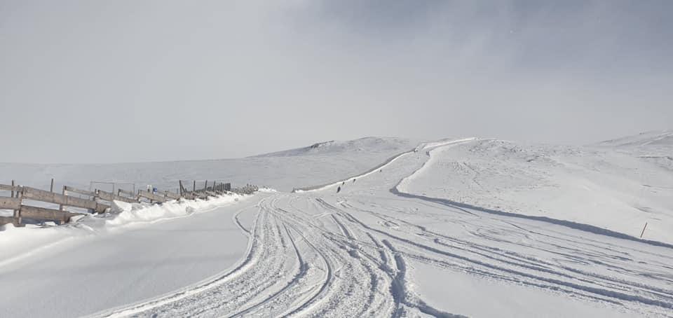 În Capitală sunt temperaturi de primăvară, la Sinaia - strat gros de zăpadă - GALERIE FOTO 644219