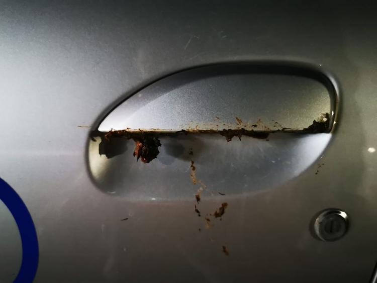 Locuitorii dintr-un cartier clujean au avut parte de o imagine teribilă când au coborât dimineață în parcarea din fața blocului. Aproape toate mașinile fuseseră „lovite” de noroc 644578