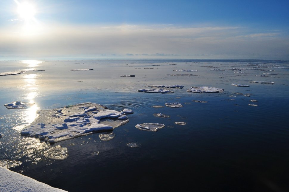 Record absolut de temperatură în Antarctica: +20,75 grade Celsius!