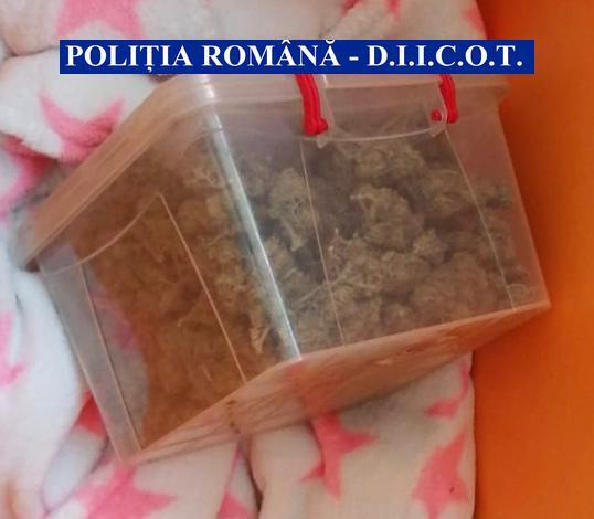 Nouă persoane arestate în Bucureşti şi Giurgiu, pentru trafic de droguri. Ce s-a găsit în casele lor - FOTO 644679