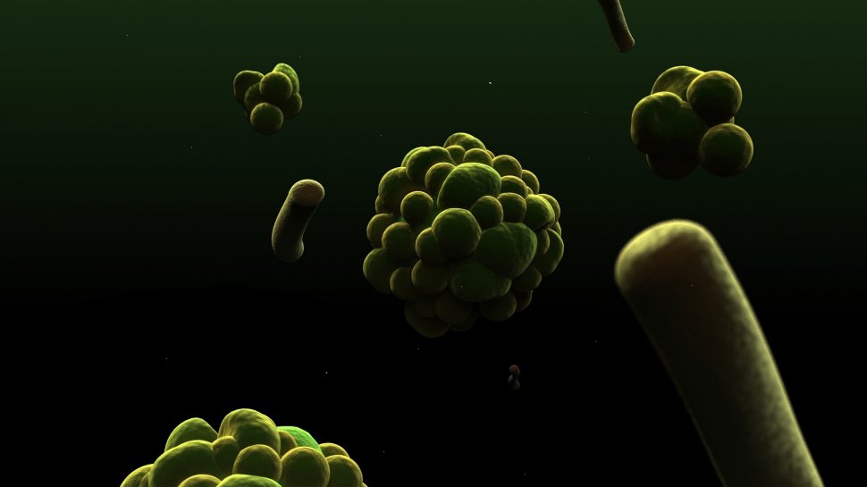 Un virus misterios a fost descoperit de cercetători într-un lac din Brazilia. Originea lui nu poate fi identificată