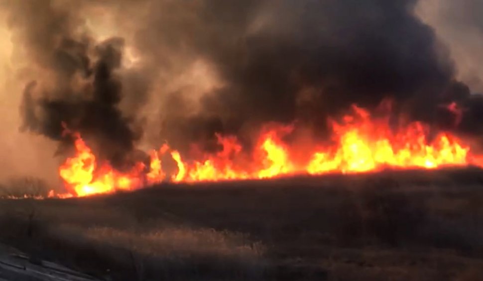 Primele imagini cu incendiul uriaş din Delta Văcăreşti. Flăcările au cuprins 20.000 de metri pătraţi