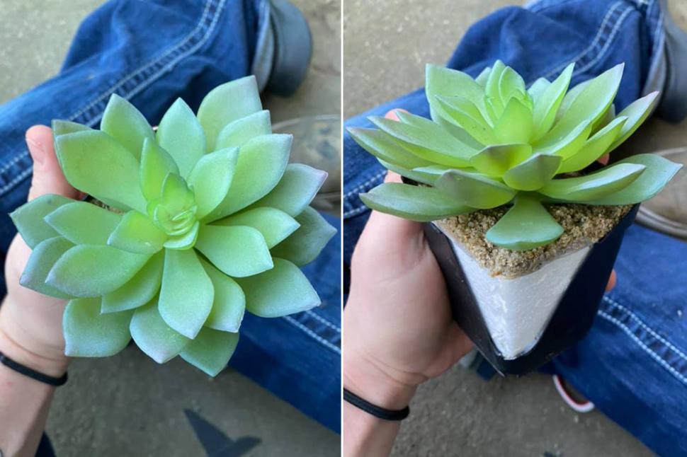 Postarea unei tinere a devenit virală, după ce a povestit ce a făcut timp de doi ani. Toată lumea a râs de ea (FOTO) 648391