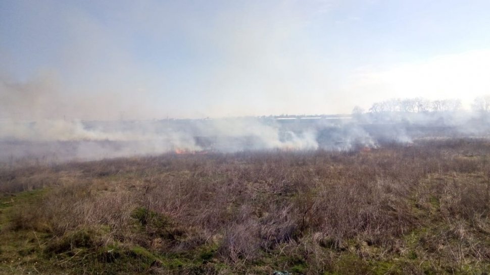 Incendiu de proporții lângă București. Flăcările au cuprins 5.000 mp de vegetație
