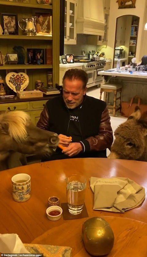 Carantină de lux. Ce fac starurile care s-au izolat la domiciliul lor de cinci stele? 651036