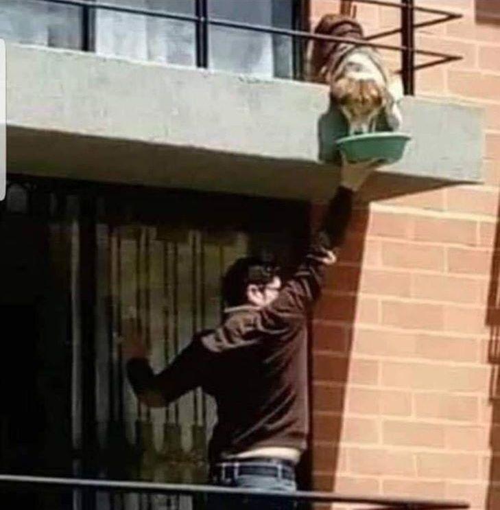 A aflat că vecinul său de deasupra este în spital, așa că bărbatul a luat o decizie incredibilă pentru a-i hrăni câinele. Face asta zilnic! (FOTO) 653256