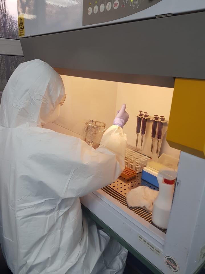 Imagini în premieră cu aparatele de testare COVID-19 achiziționate de Primăria Capitalei. Gabriela Firea: Iată că avem și vești bune 653818