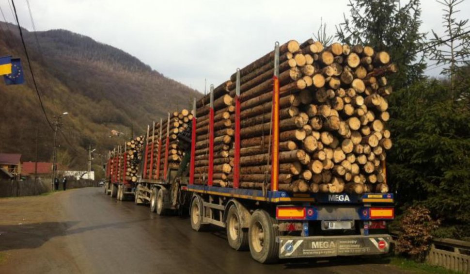 Ministrul Mediului: Gărzile Forestiere, MAI și MApN vor păzi pădurile în perioada stării de urgență