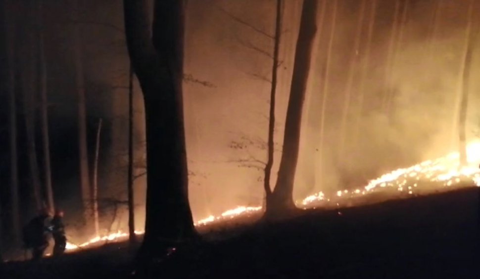 Incendiu uriaș pe 20 de hectare, în pădurea din Iedera, Dâmbovița