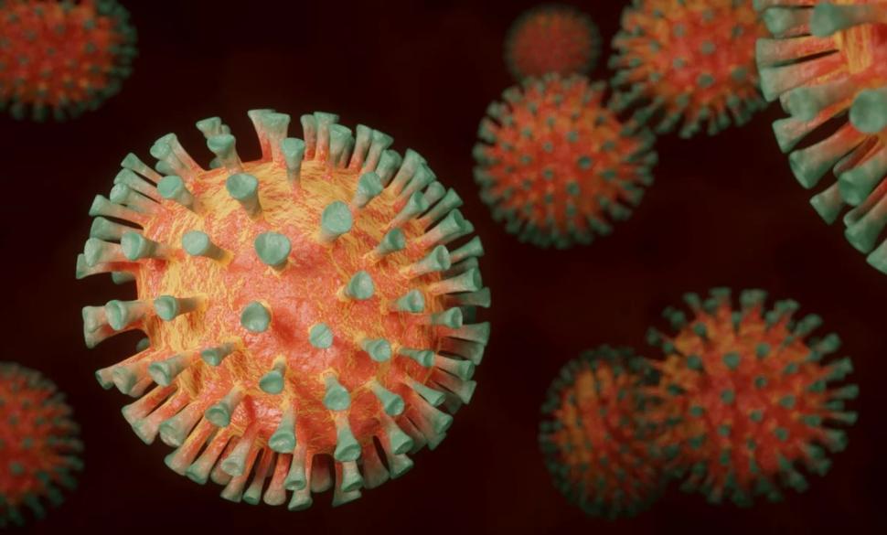 Deși coronavirusurile afectează oamenii de mulți ani, nu am putut face un vaccin pentru ele. Explicația unui specialist australian