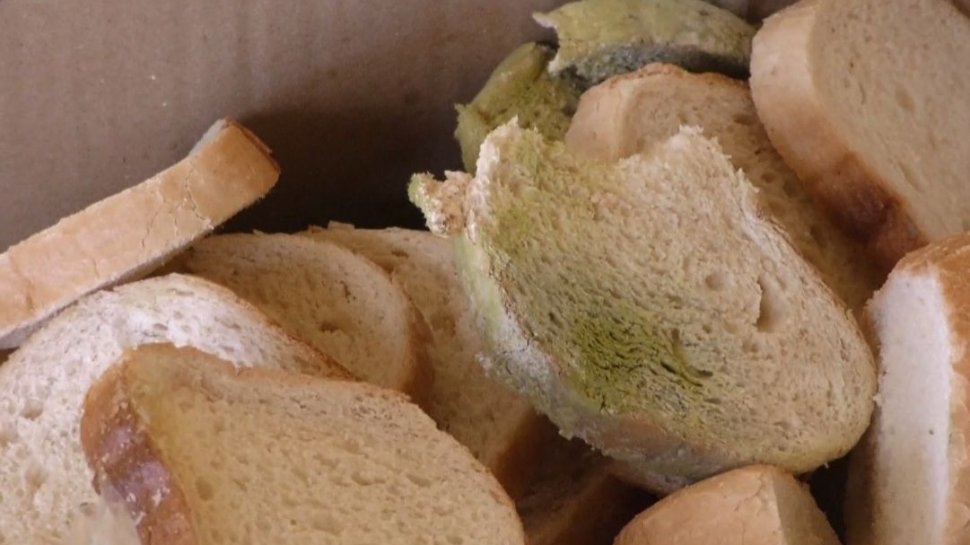 Un bărbat aflat în carantină la Braşov a primit pâine expirată de zece zile - VIDEO
