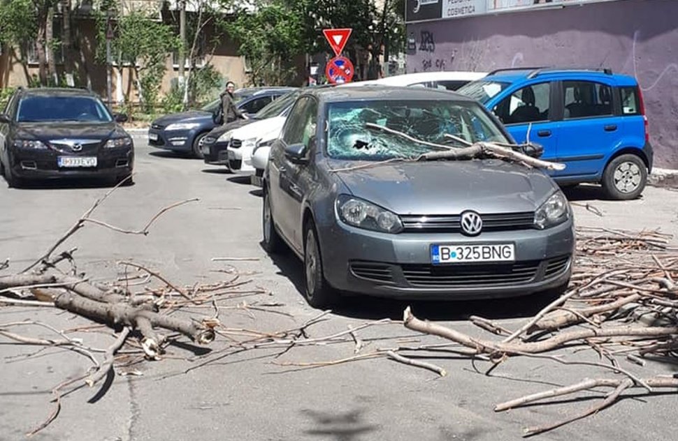 Mașină distrusă în București, după ce mai multe crengi au căzut din cauza vântului - FOTO
