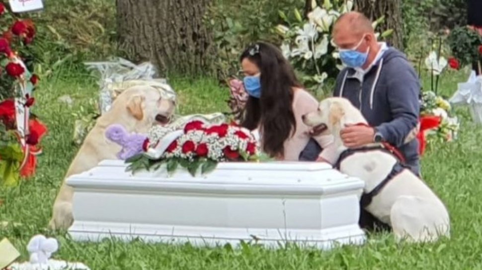 Moment emoționant la înmormântarea fetiței de origine română înecată într-o piscină. Câinii au rămas lângă sicriu pe toată durata slujbei