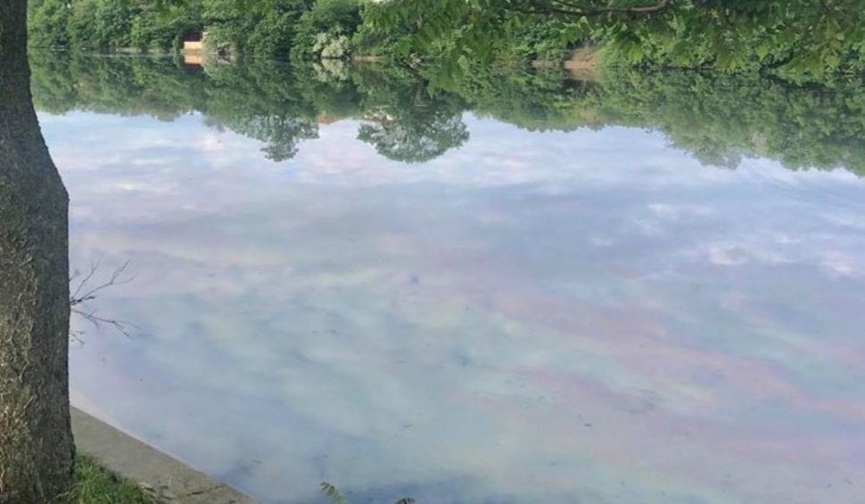 Poluare masivă pe Lacul Băneasa. Gabriela Firea cere o anchetă