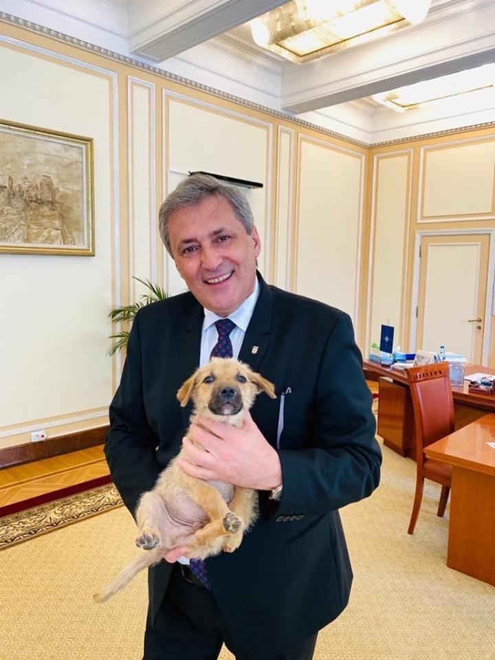 MAI a adoptat un cățeluș. Marcel Vela, apel către români: Vă rog să îmi scrieți mesaj în privat! - FOTO 666050