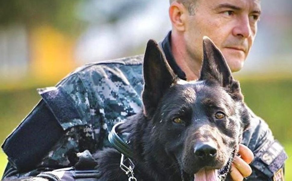 Mesajul emoționant al unui ofițer, după ce un câine polițist a murit: Pentru mine a fost copil, frate și camarad!