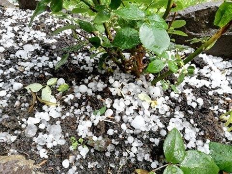 Fenomene meteo extreme. Grindină și rupere de nori în mai multe localități din țară 666976