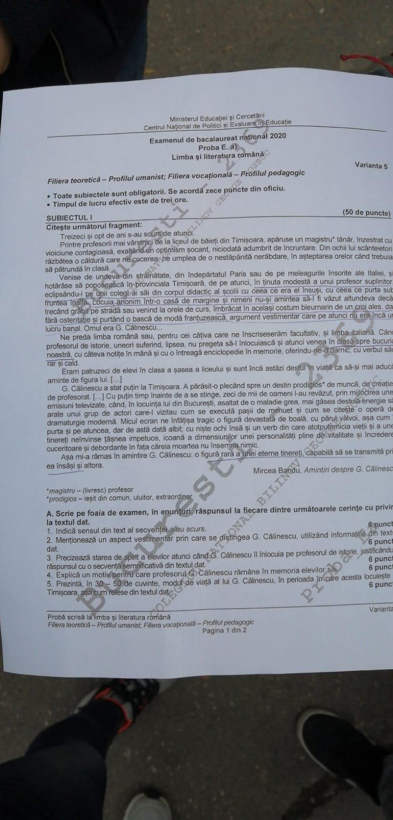 Subiectele la prima probă scrisă, la Limba și Literatura Română de la Bacalaureat în 2020. Ce le-a picat elevilor în acest an 668621