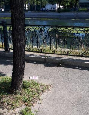 „Ce-am găsit al meu să fie!” Un bucureștean credea că a dat norocul peste el, dar și-a luat o țeapă de zile mari 669281