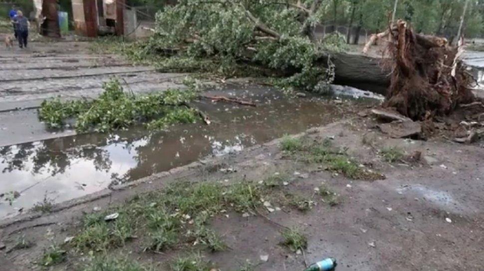 Copaci căzuți, mașini distruse și inundații în Craiova, după doar o oră de ploi torențiale și vijelii