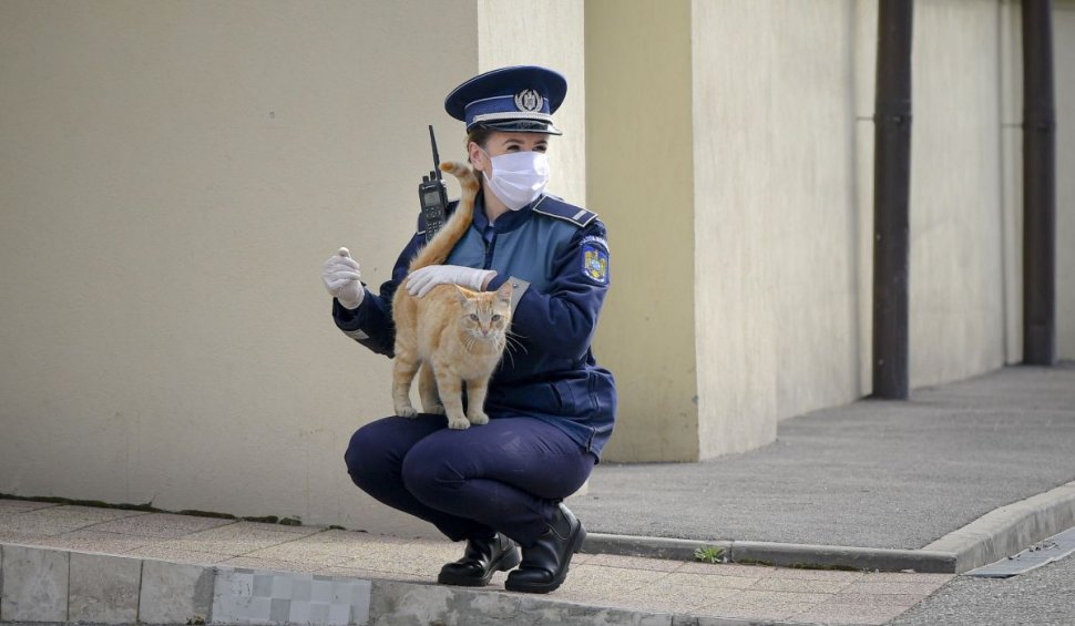 O polițistă din Ploiești s-a făcut de râs și și-a ratat cariera: 'A fost o curiozitate de-a mea'