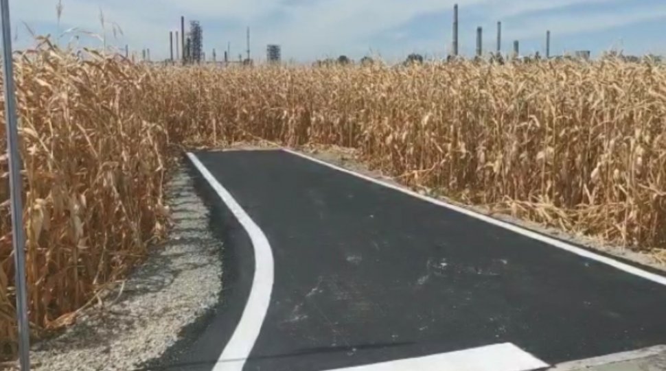 Cel mai scurt drum asfaltat din România se termină brusc într-un lan de prorumb