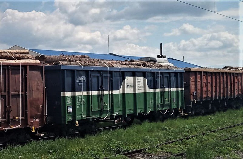 Un tren fără acte, cu 39 de vagoane ticsite cu buşteni, oprit de poliţişti şi de inspectorii gărzii forestiere