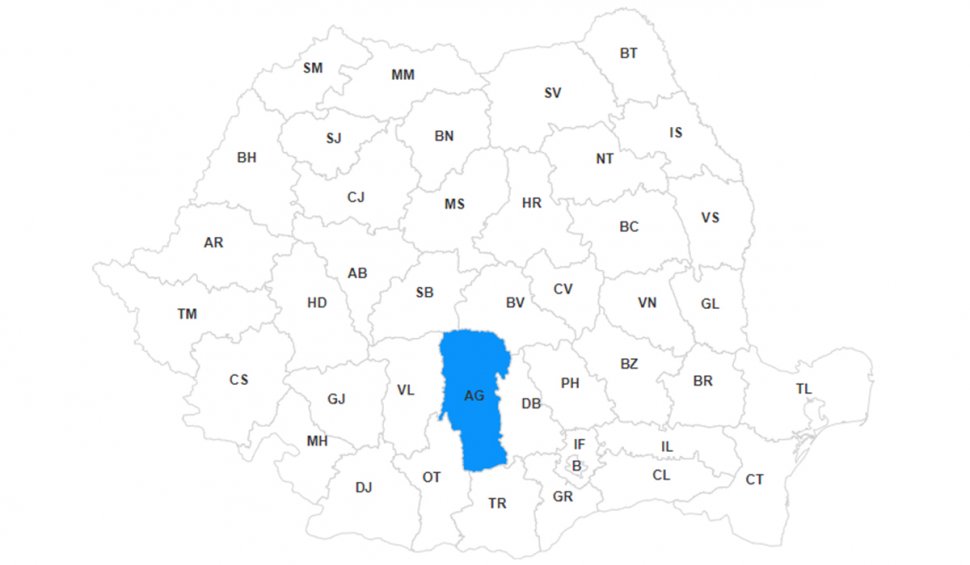 Lista primarilor din judeţul Argeş, primele rezultate la alegerile locale 2020