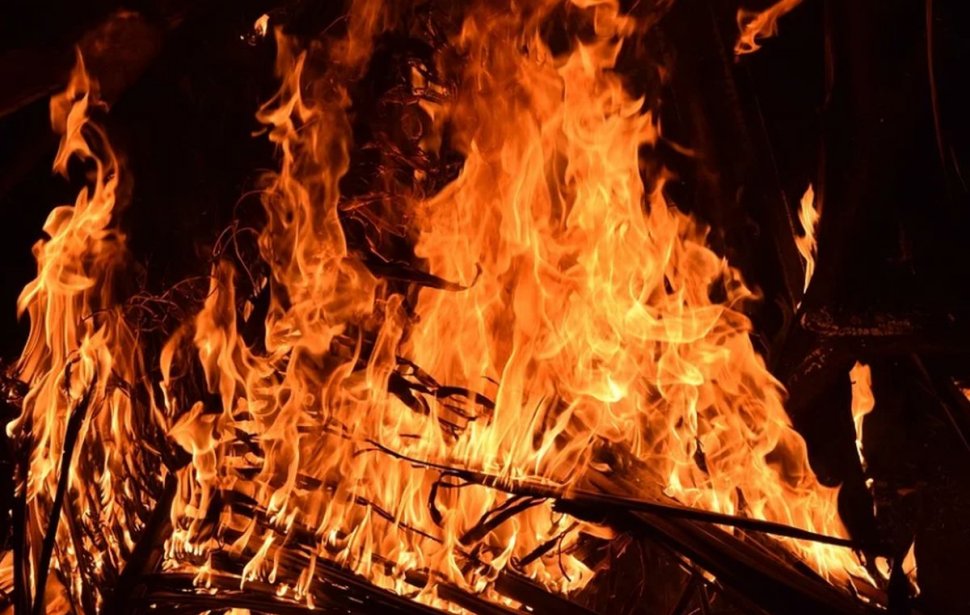 Zeci de animale au murit într-un incendiu, la Arad. Pompierii au ajuns prea târziu