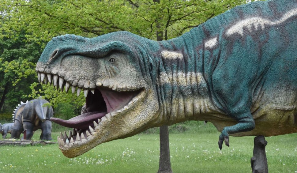 „Regele dinozaurilor”, vândut la licitație pe o sumă record! Cine a plecat cu un schelet de T.Rex acasă