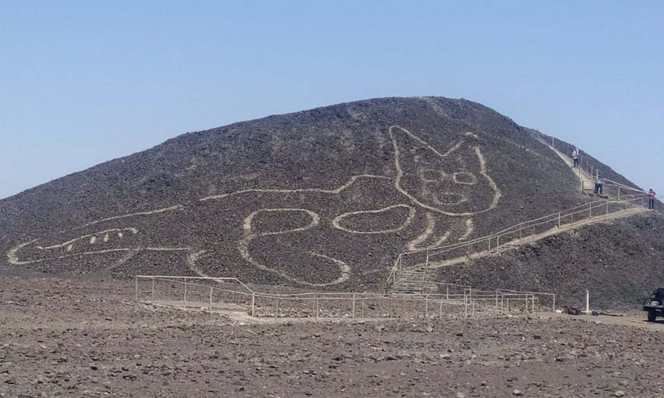 Un nou desen spectaculos la Nazca, cu o pisică de acum 2.000 de ani!