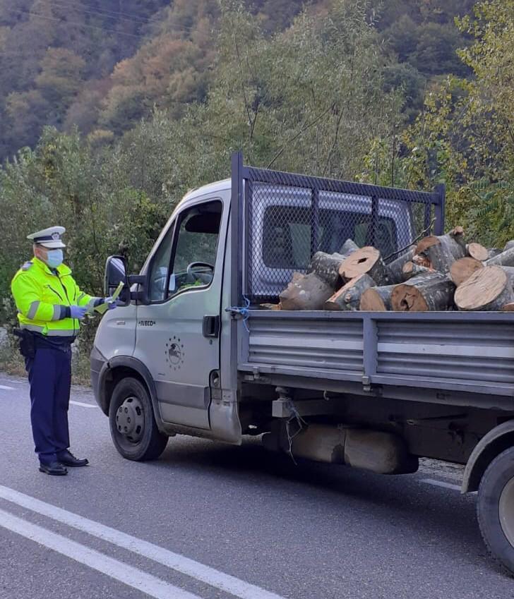 Acțiune de amploare a autorităților pentru depistarea hoților de lemne. Captura impresionantă a polițiștilor  681478